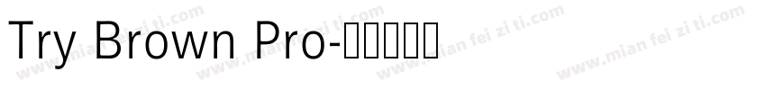 Try Brown Pro字体转换